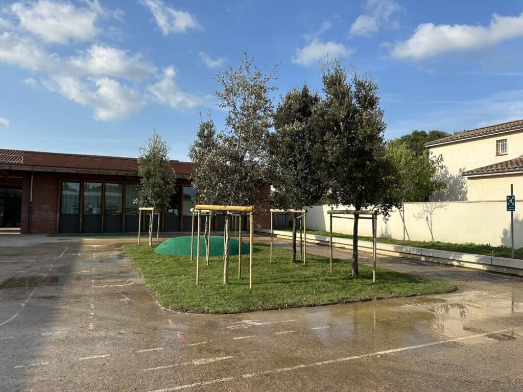 Création d'un îlot de verdure à l'école maternelle publique Claudie Haigneré. Après découpe de la cour goudronnée, remplacement de la couche de granulat existante, apport de terre végétale, fourniture de chênes verts tiges au feuillage persistant, puis installation d'un gazon en plaque. Nos enfants valent bien cela !