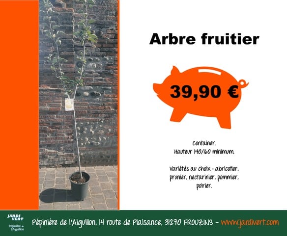 Arbre fruitier en container 140/160cm à 39,90€. Variétés : abricotier, prunier, pommier, poirier. Jardivert à Frouzins.